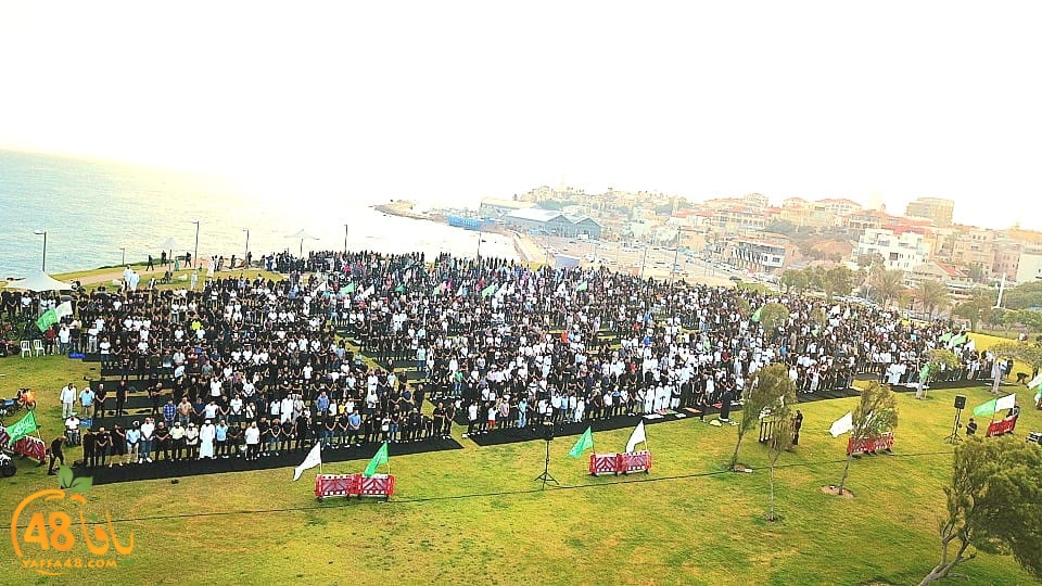 WhatsApp Image 2023-06-28 at 11.33.52 AM (1).jpeg